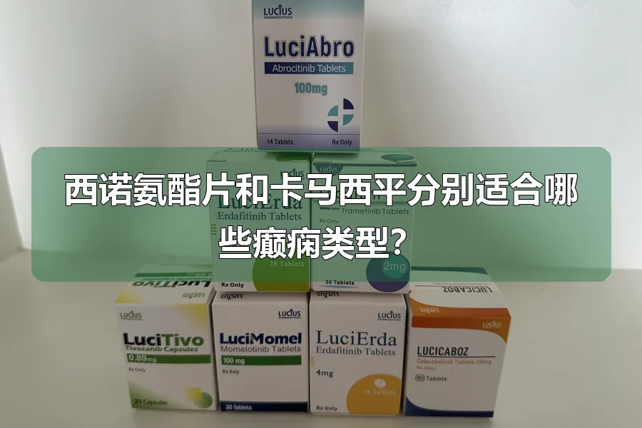 西诺氨酯片和卡马西平分别适合哪些癫痫类型?